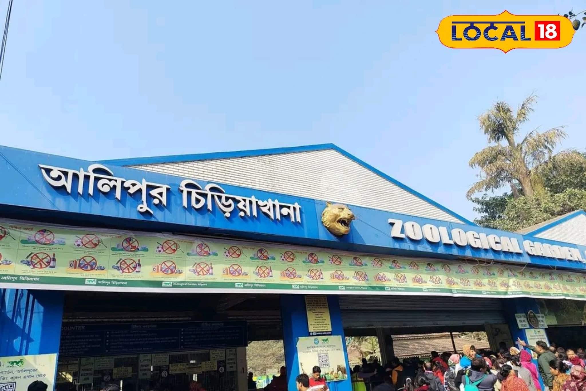 বড়দিনে এত ফাঁকা ছিল কেন চিড়িয়াখানা? ইন্টারনেটে তথ্যের ফেরেই বিভ্রান্তি? যা জানা গেল!