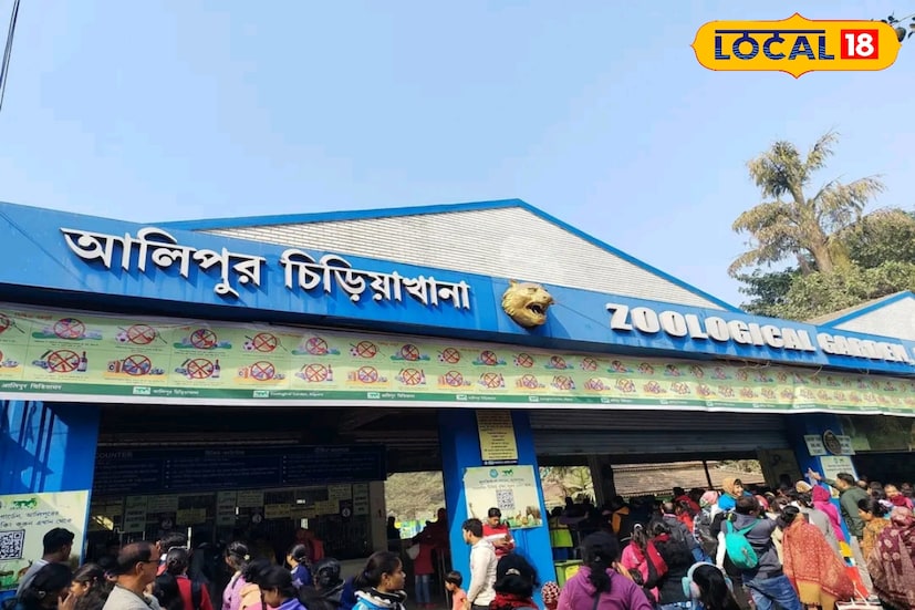 আলিপুর, দক্ষিণ ২৪ পরগনা, নবাব মল্লিক: এবছর রেকর্ড ভিড় দেখা দিল আলিপুর চিড়িয়াখানায়। বছরের শেষ রবিবারে কার্যত জনজোয়ার বয়ে যায় আলিপুরে। পরিসংখ্যান বলছে ৭১ হাজার ১০০ জন মানুষ এসেছিলেন এইদিন। ছবি ও তথ্য: নবাব মল্লিক আলিপুর, দক্ষিণ ২৪ পরগনা, নবাব মল্লিক: এবছর রেকর্ড ভিড় দেখা দিল আলিপুর চিড়িয়াখানায়। বছরের শেষ রবিবারে কার্যত জনজোয়ার বয়ে যায় আলিপুরে। পরিসংখ্যান বলছে ৭১ হাজার ১০০ জন মানুষ এসেছিলেন এইদিন। ছবি ও তথ্য: নবাব মল্লিক