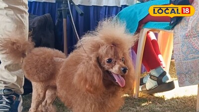 ছবি প্রতিকী