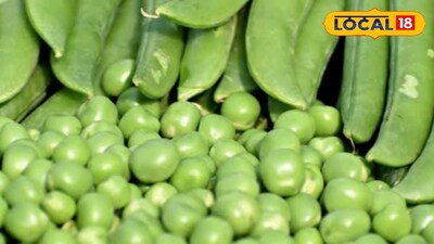 শীতে মটরশুটির গুণ