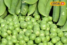 Green Peas Benefits: শীতের মটরশুঁটির গুণ অনেক! নিয়ন্ত্রণে রাখে সুগার, কোষ্ঠকাঠিন্য! তবে ভুলেও বেশি খাবেন না, তাহলে বিপদ কাদের? জানুন