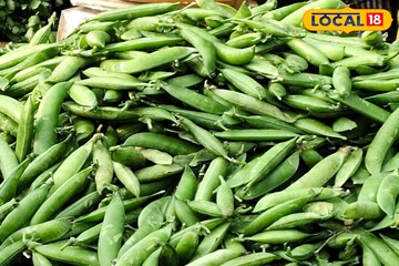 শীতের মটরশুঁটির গুণ অনেক! নিয়ন্ত্রণে রাখে সুগার, কোষ্ঠকাঠিন্য! তবে বেশি খাবেন না কারা?