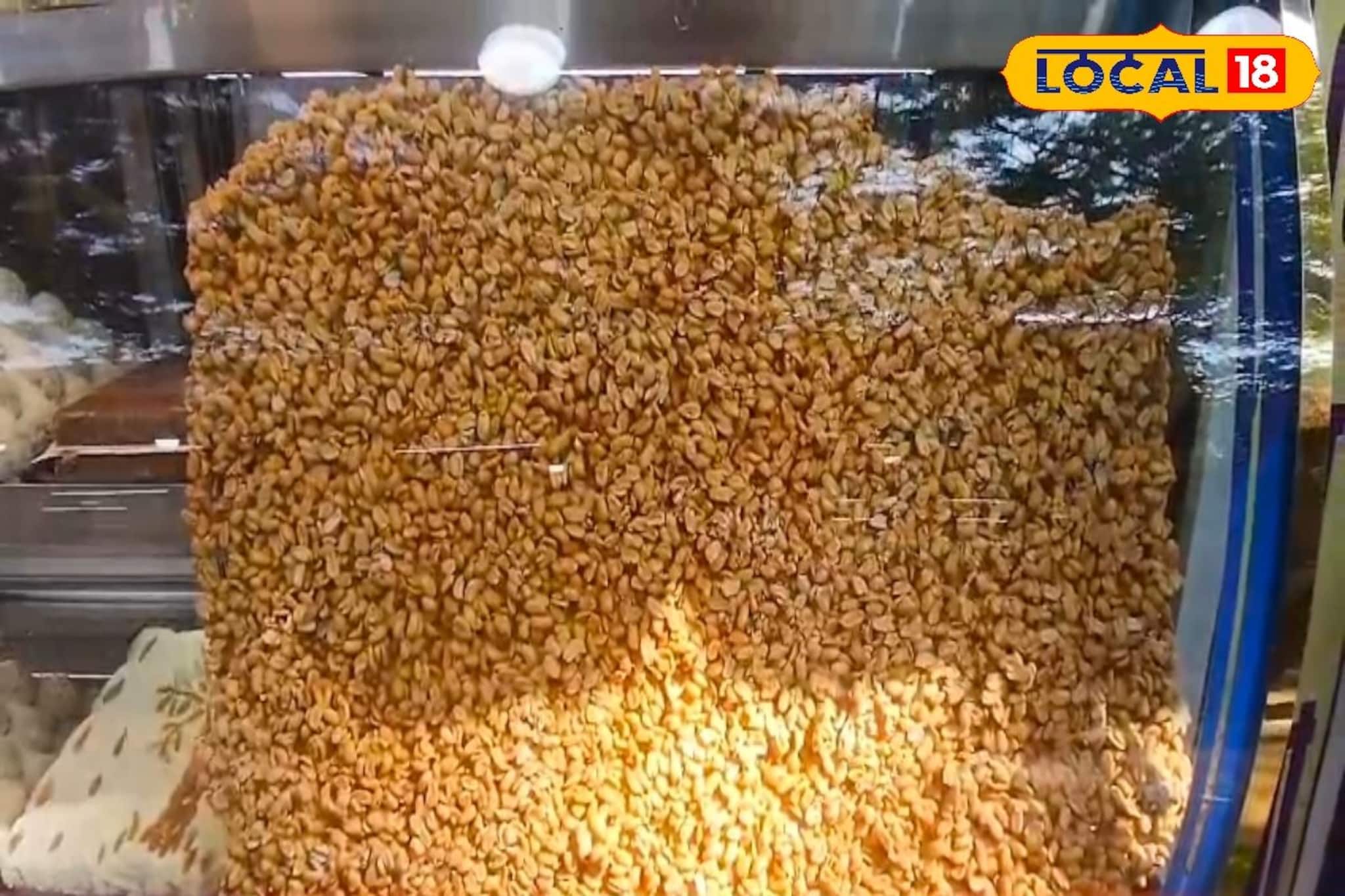 শীতের লোভনীয় খাবার, নলেন গুড় আর কুড়মুড়ে বাদাম দিয়ে তৈরি মনকাড়া স্বাদ, মুখে দিলেই ম্যাজিক শীতের লোভনীয় খাবার, নলেন গুড় আর কুড়মুড়ে বাদাম দিয়ে তৈরি মনকাড়া স্বাদ, মুখে দিলেই ম্যাজিক