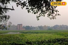 Howrah News: সাঁতরাগাছি ঝিলের চেনা ছবি উধাও! এই বছর নাও দেখা যেতে পারে পরিযায়ী পাখি, পক্ষীপ্রেমীদের জন্য খারাপ খবর