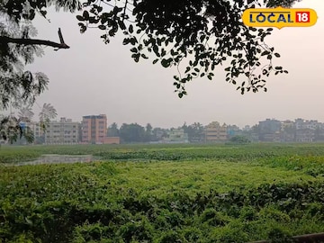 সাঁতরাগাছি