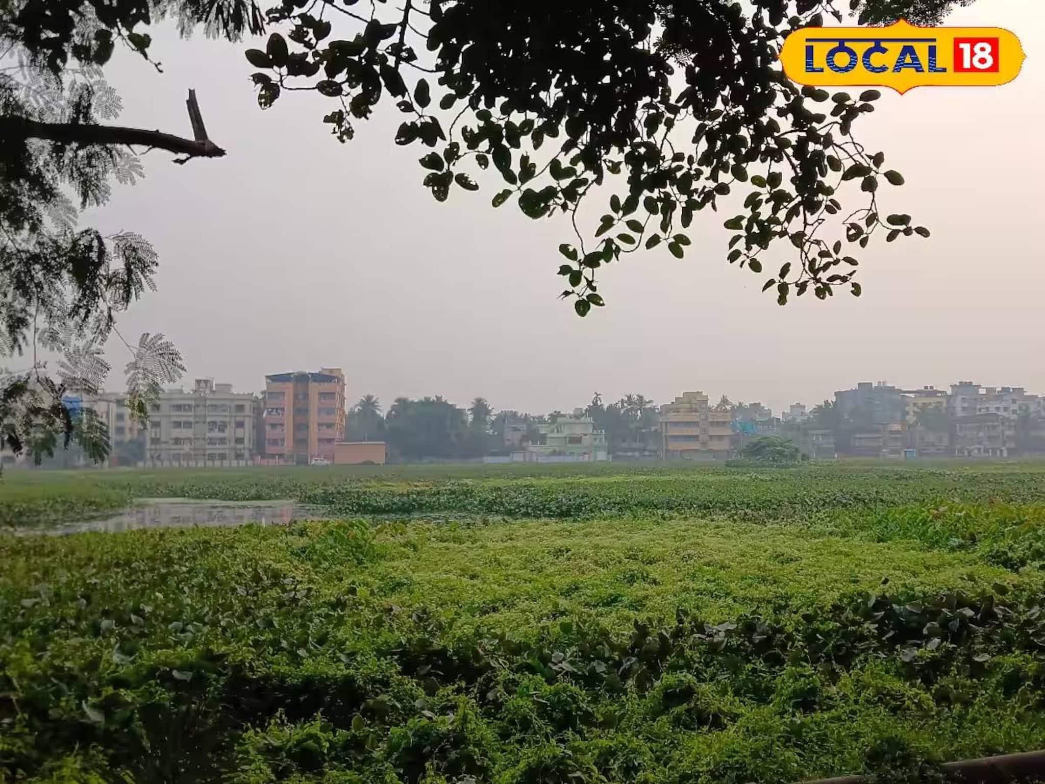 Howrah News: সাঁতরাগাছি ঝিলের চেনা ছবি উধাও! এই বছর নাও দেখা যেতে পারে পরিযায়ী পাখি, পক্ষীপ্রেমীদের জন্য খারাপ খবর