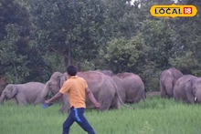 Human Elephant Conflict: দিন দিন বাড়ছে হাতির হানায় মৃত্যু! মানুষের ভুলে আরও বাড়ছে বিপদ, হাতি-মানুষ সংঘাতের চমকে দেওয়া ২ কারণ জানালেন বিশেষজ্ঞরা