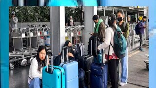 ইন্ডিগো পরিস্থিতিতে উন্নতির দিন বলে দিলেন সিইও