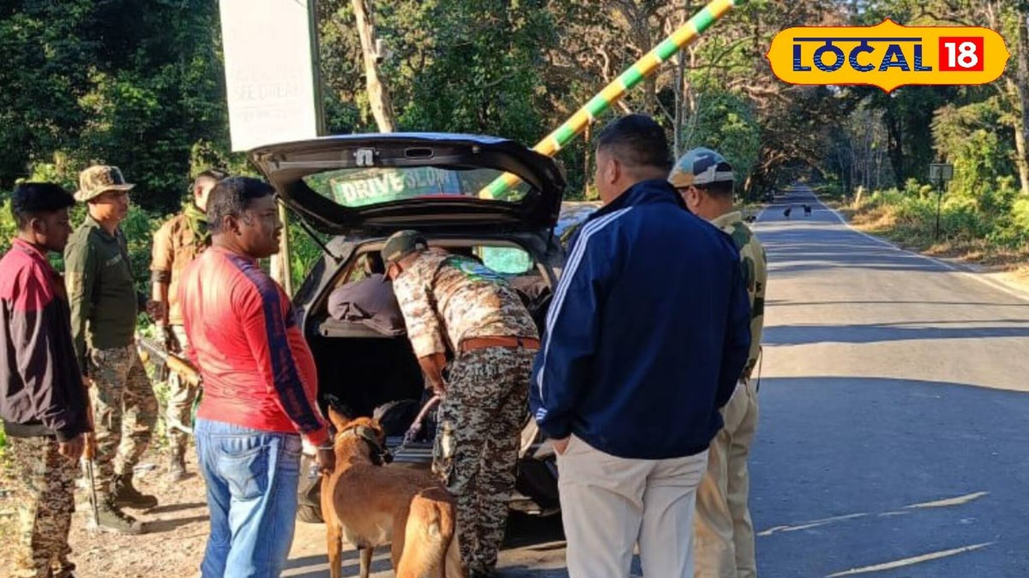 কুয়াশাচ্ছন্ন জঙ্গলে চোরা শিকারিদের উৎপাত! বন‍্যপ্রাণ বাঁচাতে স্নিফার ডগ নামিয়ে তল্লাশি