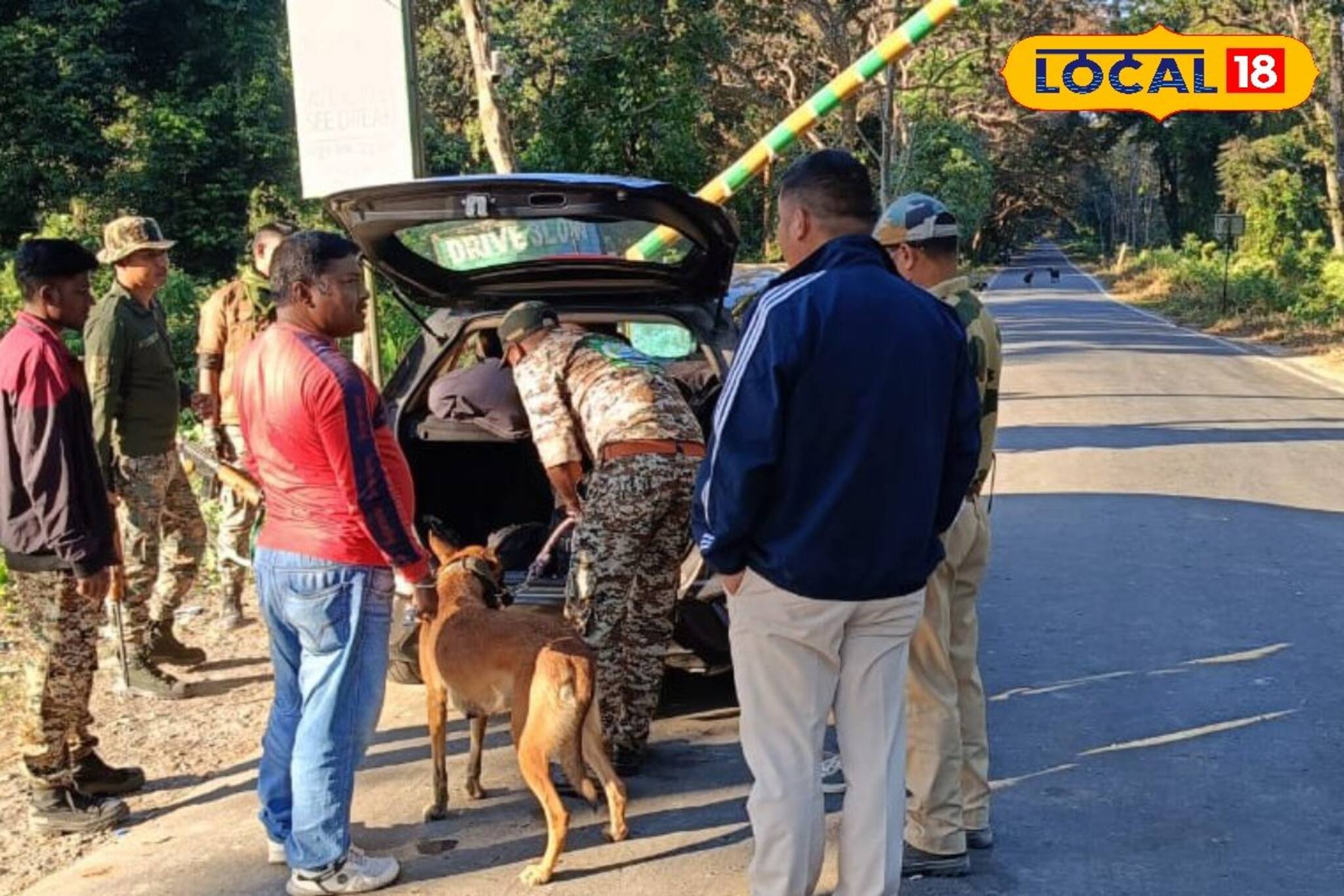 কুয়াশাচ্ছন্ন জঙ্গলে চোরা শিকারিদের উৎপাত! বন‍্যপ্রাণ বাঁচাতে স্নিফার ডগ নামিয়ে তল্লাশি