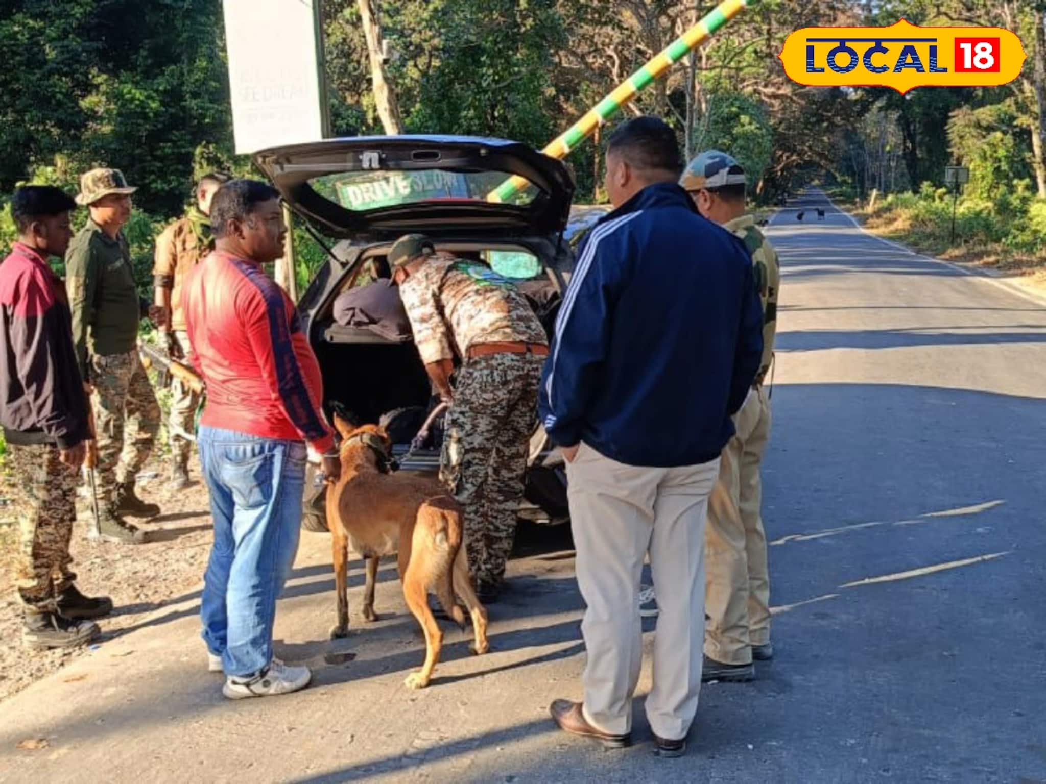কুয়াশাচ্ছন্ন জঙ্গলে চোরা শিকারিদের উৎপাত! বন‍্যপ্রাণ বাঁচাতে স্নিফার ডগ নামিয়ে তল্লাশি