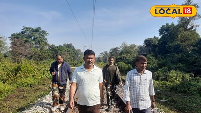 হাতি-সহ অন্যান্য বন্যপ্রাণীর মৃত্যু ঠেকাতে রেলপথে বনকর্মীদের টহল  