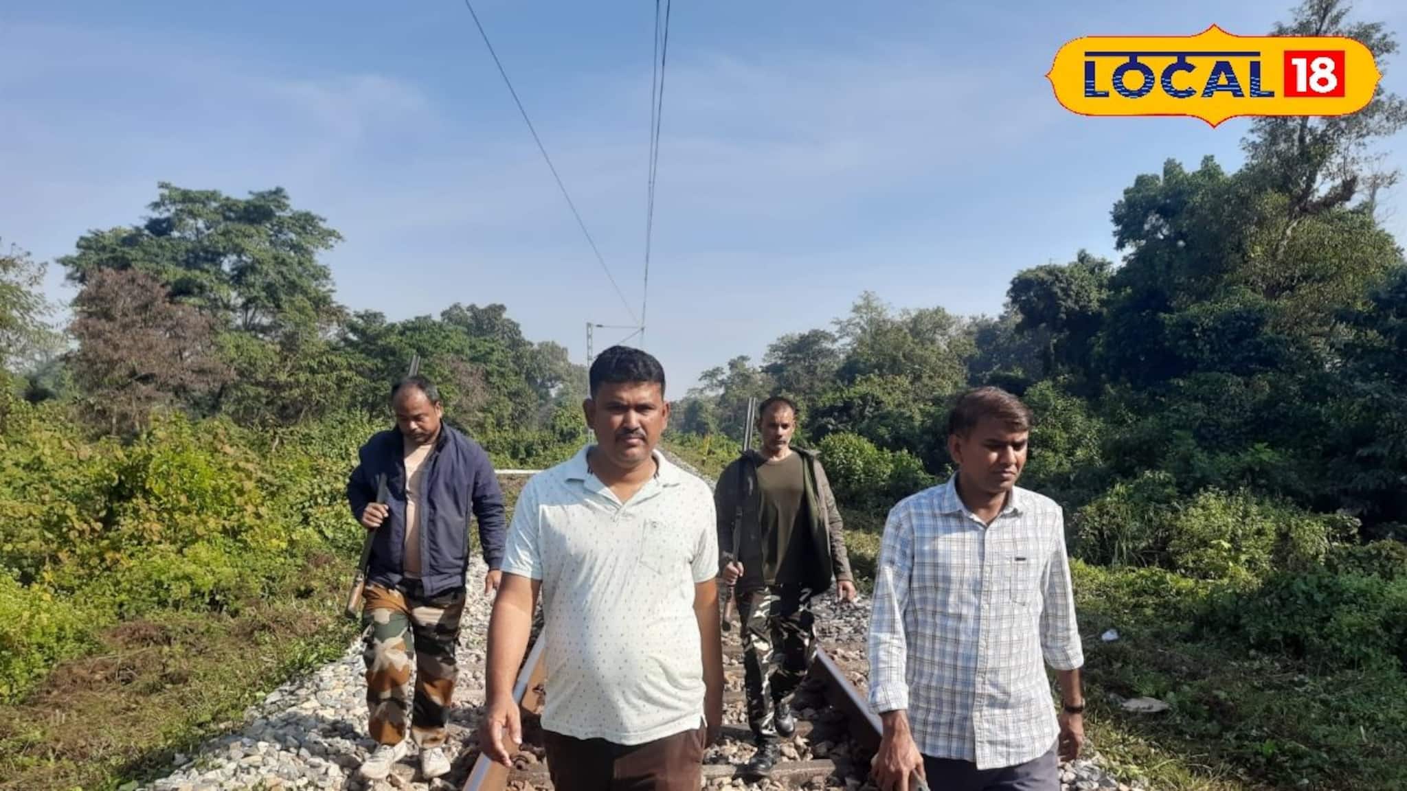 Alipurduar News: শীতে কুয়াশার দাপট! ট্রেনের ধাক্কায় বন্যপ্রাণীর মৃত্যু রুখতে রেলপথে বিশেষ নজরদারি, নিয়মিত টহল জলদাপাড়া বনকর্মীদের