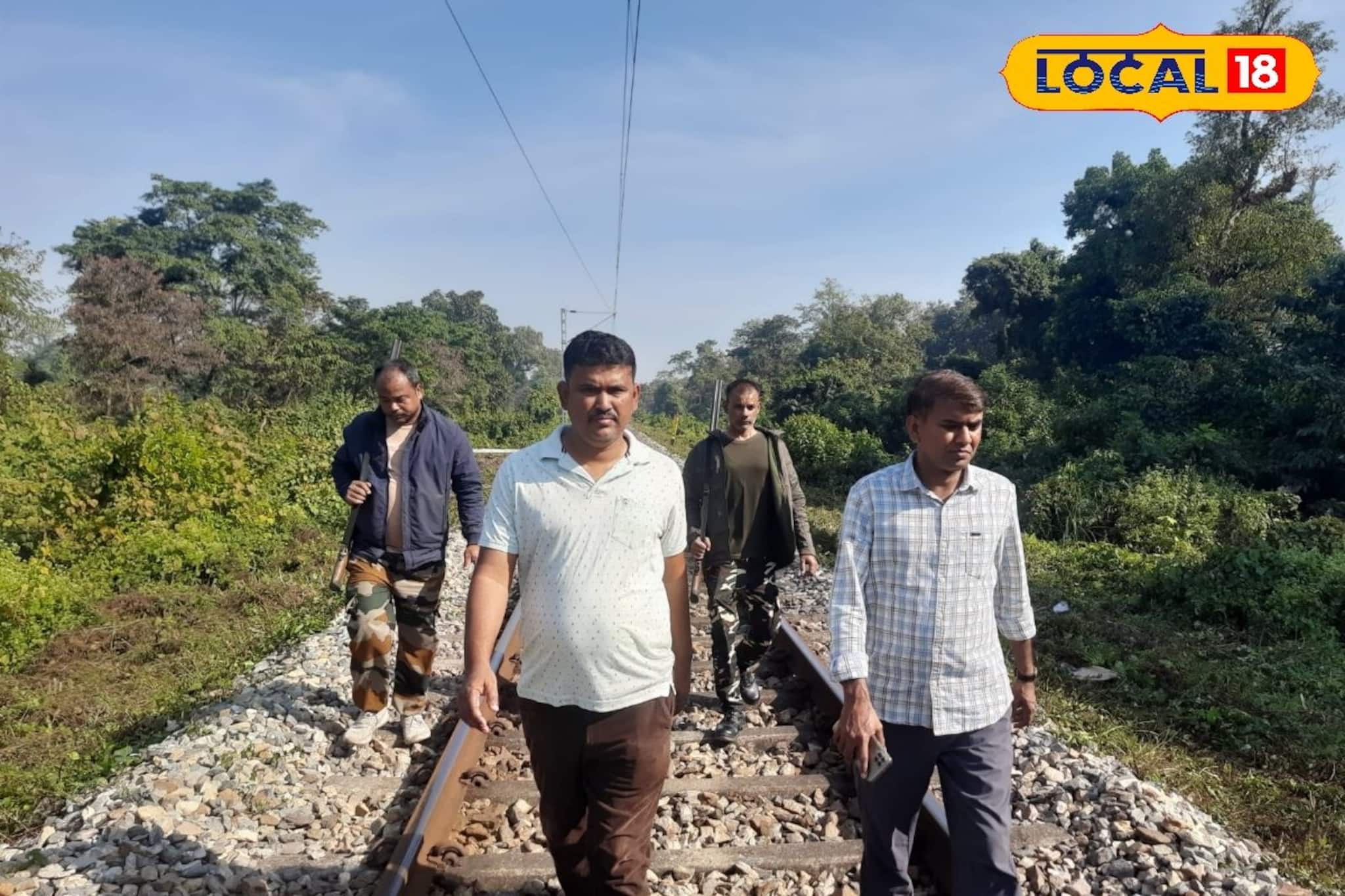 শীতে কুয়াশার দাপট! ট্রেনের ধাক্কায় বন্যপ্রানীর মৃত্যু রুখতে রেলপথে বনকর্মীদের নজরদারি