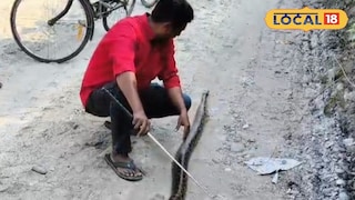 ৯ ফুট অজগরের দেহ 