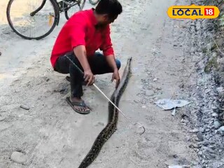 ৯ ফুট অজগরের দেহ 