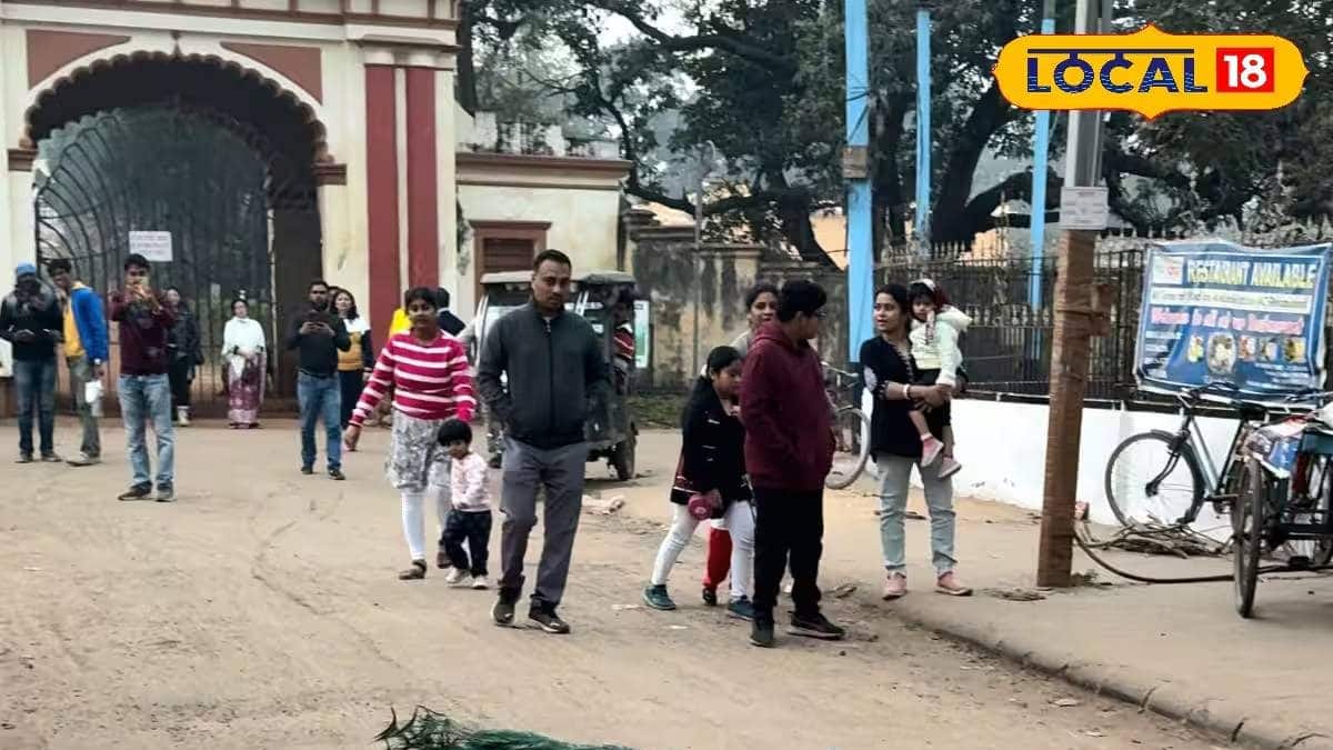 Jhargram Tourism: হাতের নাগালেই ঘুরে বেড়াচ্ছে ময়ূর! শীতে ঘুরে আসুন ...