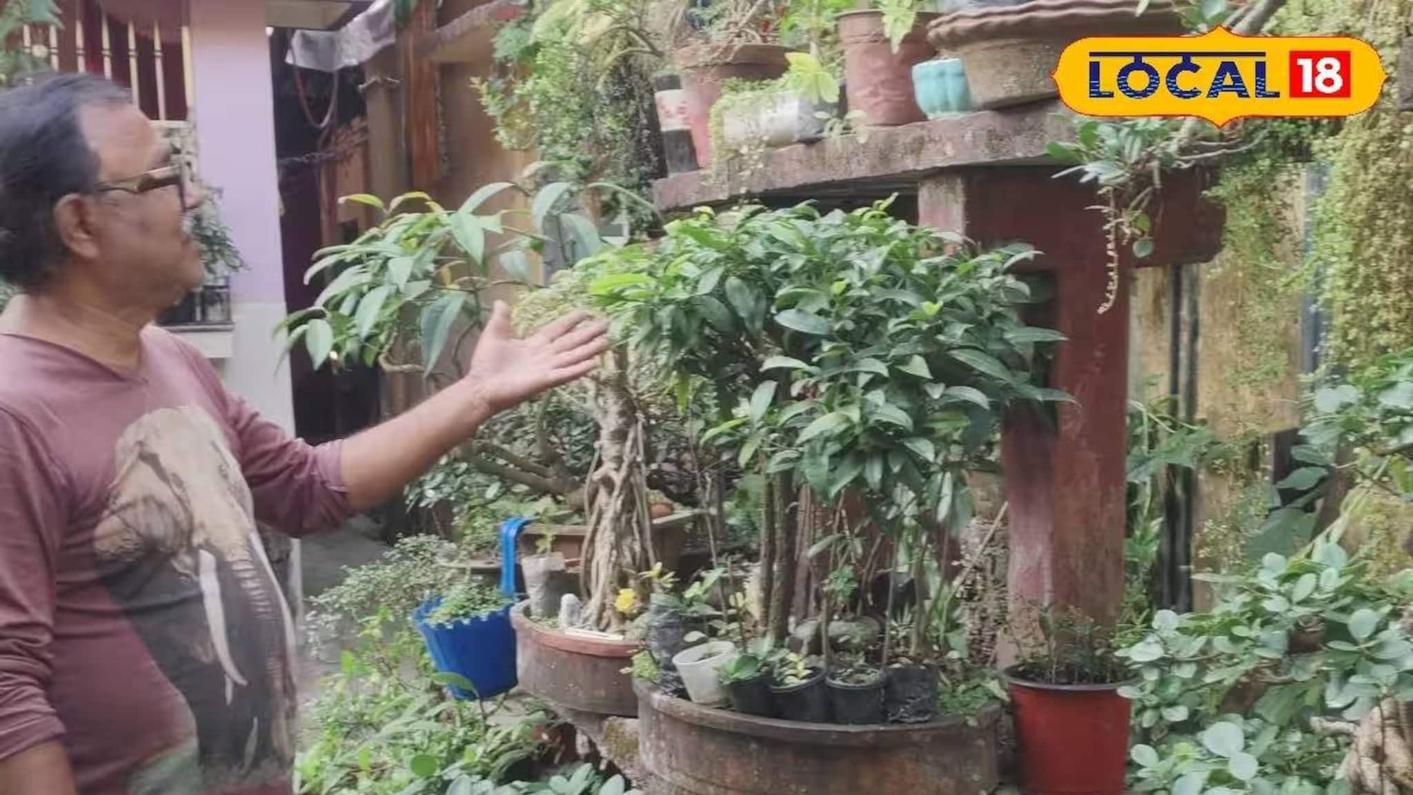 Bonsai Akhra: ৪০ বছরের সাধনার ফল! ডুয়ার্সের বুকে কানাইলালের 'বনসাই আখড়া', ঘুরে গিয়েছেন সমরেশ মজুমদারও