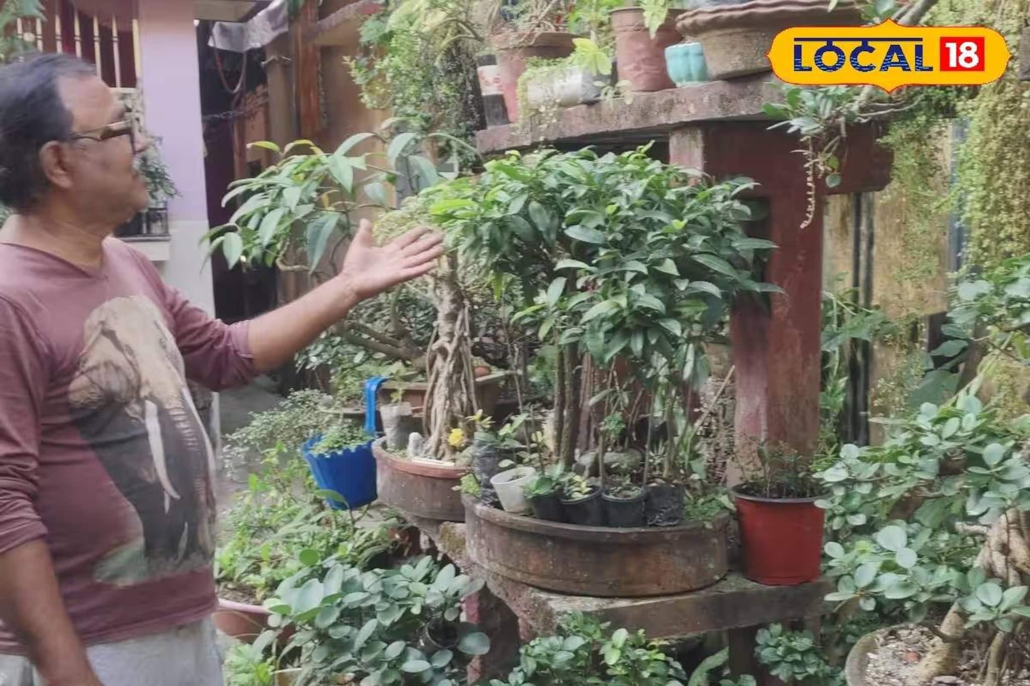 ৪০ বছরের সাধনার ফল! অভিনব বনসাই আখড়া ঘুরে গিয়েছেন সমরেশ মজুমদারও ৪০ বছরের সাধনার ফল! অভিনব বনসাই আখড়া ঘুরে গিয়েছেন সমরেশ মজুমদারও