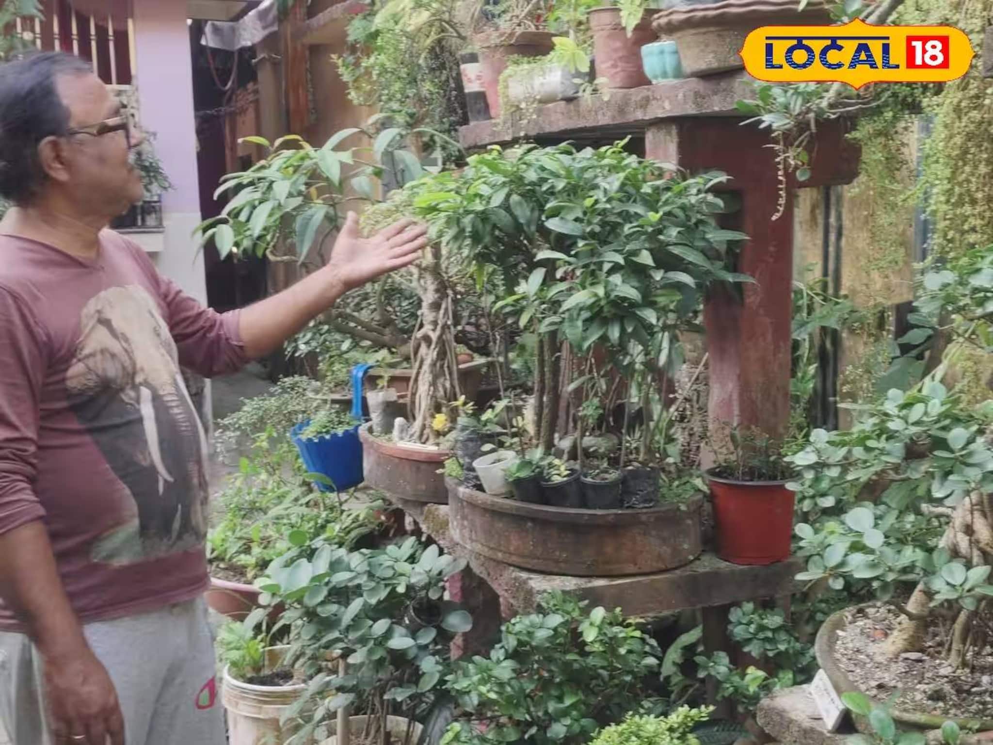 ৪০ বছরের সাধনার ফল! অভিনব বনসাই আখড়া ঘুরে গিয়েছেন সমরেশ মজুমদারও