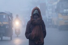 Kolkata Coldest Day 2025: শীতের শিরশিরানিতে জবুথবু কলকাতা, রবিবার শীতলতম তাপমাত্রা ১৪.৪! বড়দিনে আরও কাঁপুনি ধরাবে, পূর্বাভাস আবহাওয়া দফতরের