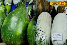 ১৫ ফুটের মানকচু, ৩৫ কেজির লাউ! বাণীপুর লোকউৎসব মেলায় 'বড়' চমক, দৈত্যাকার সবজির এমন কৃষি প্রদর্শনী আগে কখনও দেখেননি