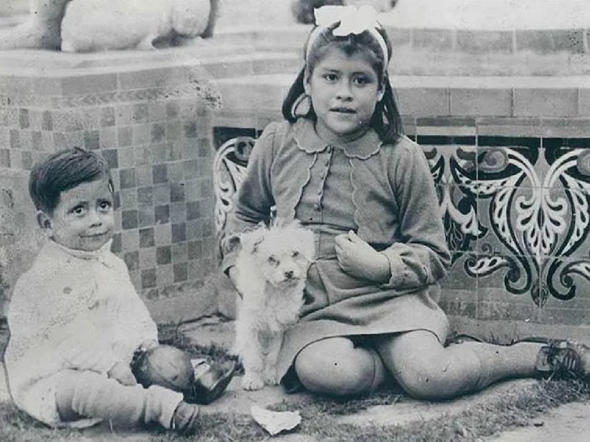 *২০০২ সালের রয়টার্সের একটি প্রতিবেদন অনুসারে, মেডিনা এবং তার স্বামী সেই সময় লিমার 'লিটল শিকাগো' এলাকায় থাকতেন। এই মুহূর্তে লিনা এবং তার স্বামী এখনও বেঁচে আছেন কিনা তা জানা যায়নি।