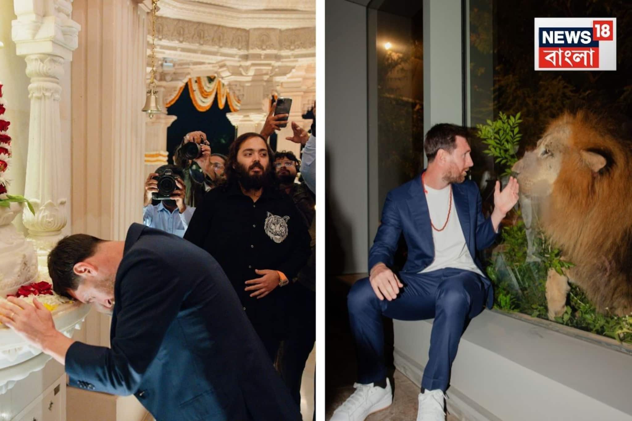 Lionel Messi in Vantara: মহা আরতি, বাঘ-সিংহর সঙ্গে ছবি, হাতির সঙ্গে ফুটবল খেলা, আম্বানির বনতারা সফর মেসিকে দিল আজীবনের স্মৃতি