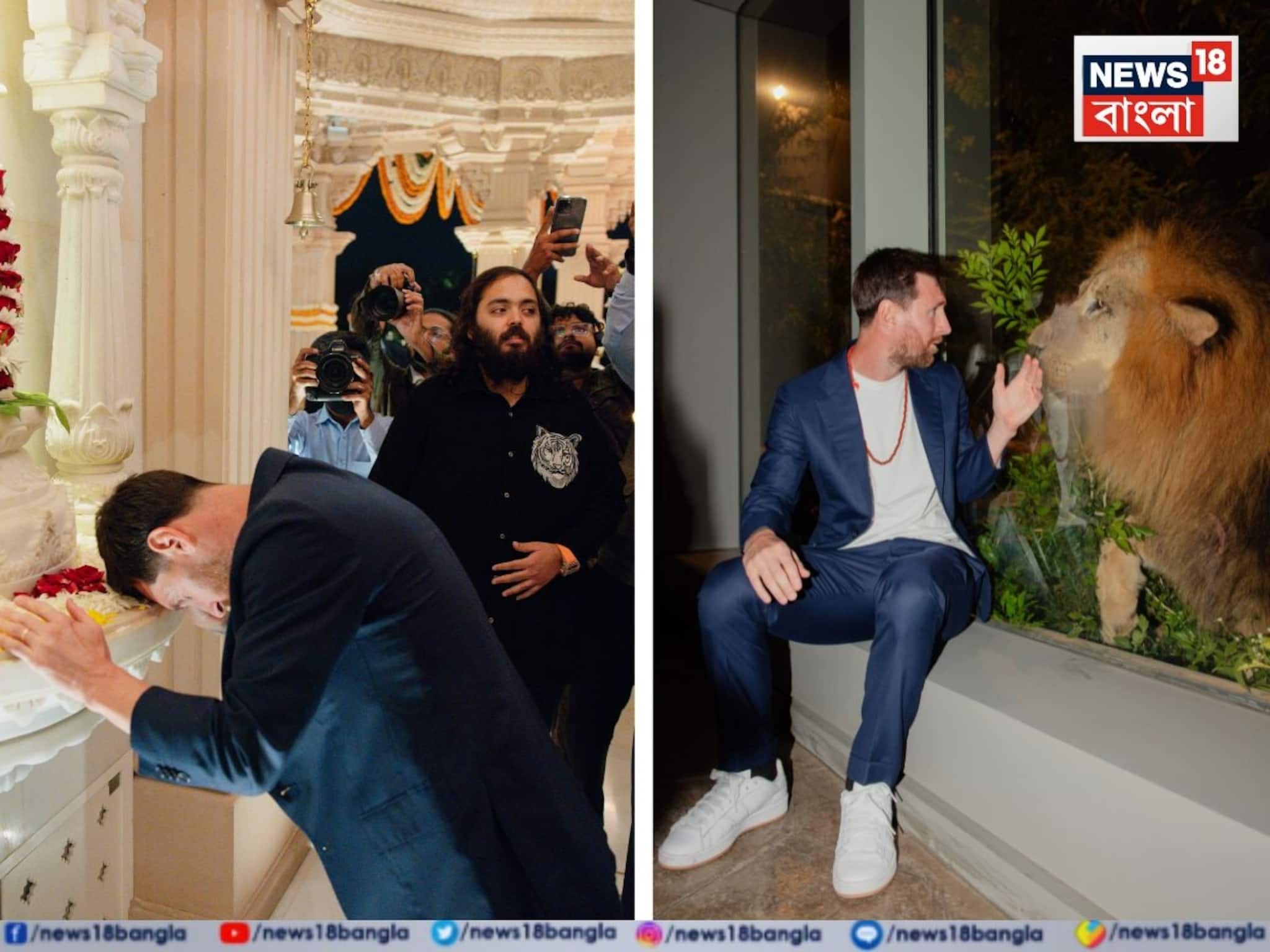 মহা আরতি, বাঘ-সিংহর সঙ্গে ছবি, আম্বানির বনতারা সফর মেসিকে দিল আজীবনের স্মৃতি