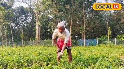 কুলথি ডাল চাষ