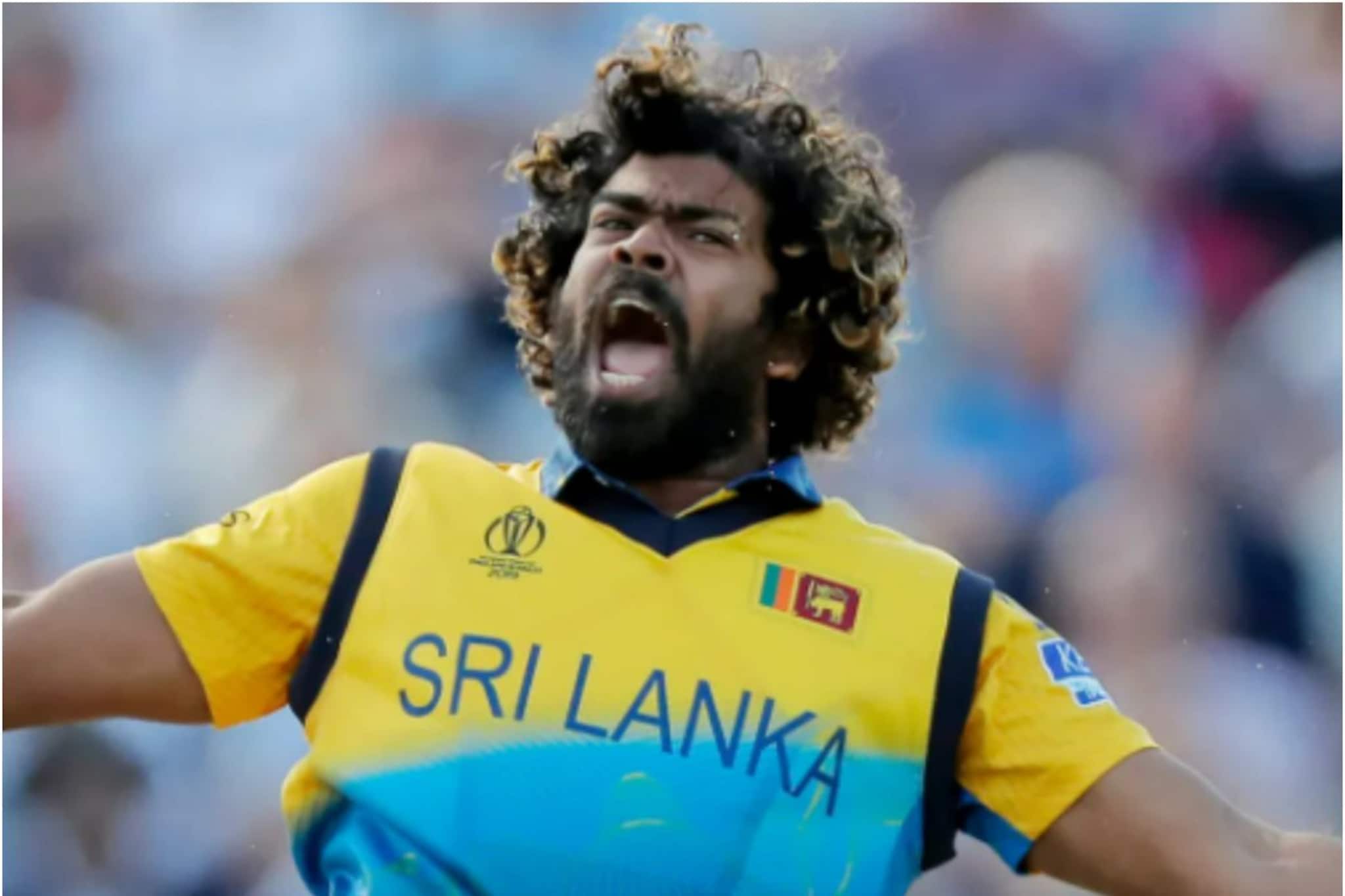 টি-২০ বিশ্বকাপের আগে শ্রীলঙ্কা দলে ফিরলেন লাসিথ মালিঙ্গা! পালন করবেন বড় দায়িত্ব টি-২০ বিশ্বকাপের আগে শ্রীলঙ্কা দলে ফিরলেন লাসিথ মালিঙ্গা! পালন করবেন বড় দায়িত্ব