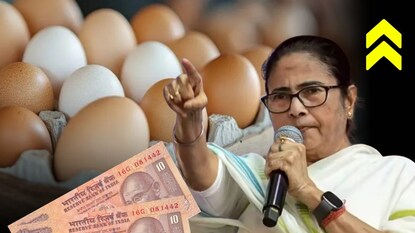 ডিমের মূল্যবৃদ্ধি নিয়ে সরব মমতা৷ ডিমের মূল্যবৃদ্ধি নিয়ে সরব মমতা৷