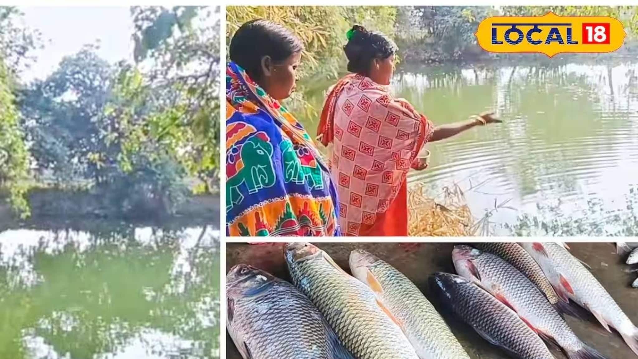 মহিলাদের স্বনির্ভর করতে রাজ্য সরকারের দারুণ উদ্যোগ! আয়ের দিশা পেলেন বহু নারী