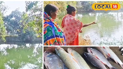 সরকারি পুকুরে মাছ চাষ