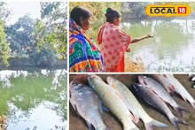 Fish Farming: মহিলাদের স্বনির্ভর করতে রাজ্য সরকারের দারুণ উদ্যোগ! আয়ের দিশা পেলেন বহু নারী, সরকারি সাহায্যে বদলে গেল ভাগ্য