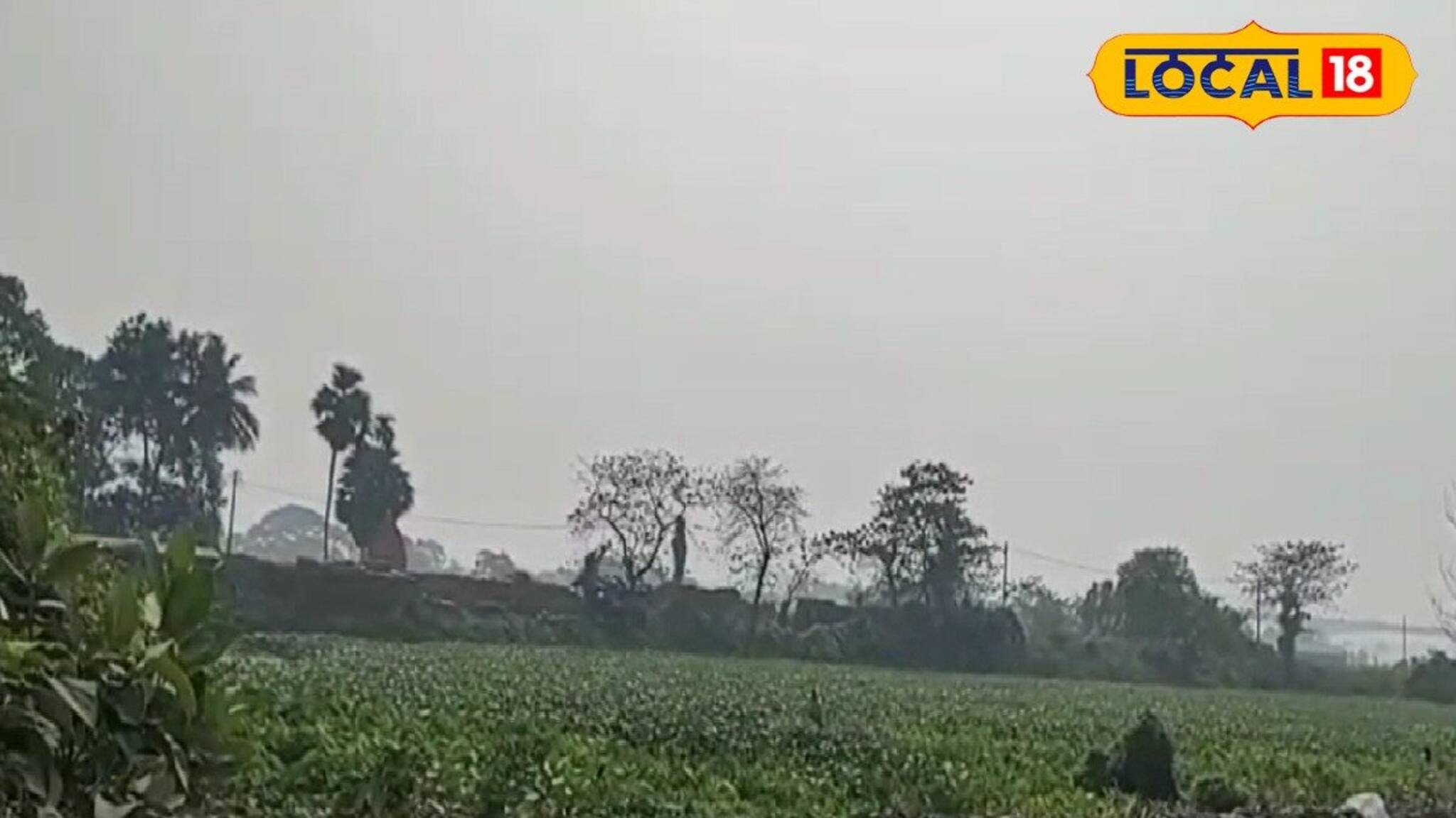 বন্ধ হয়ে যাওয়া ইটভাটার পুকুর থেকে অজ্ঞাত পরিচয় যুবকের দেহ উদ্ধার! চাঞ্চল্য নবদ্বীপে