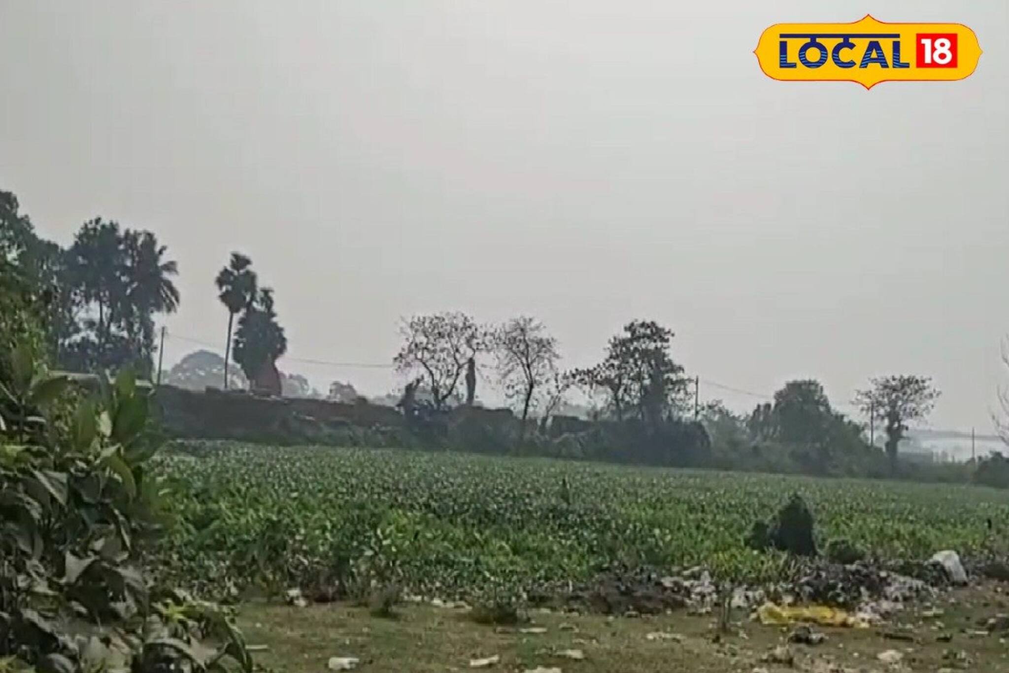 বন্ধ হয়ে যাওয়া ইটভাটার পুকুর থেকে অজ্ঞাত পরিচয় যুবকের দেহ উদ্ধার! চাঞ্চল্য নবদ্বীপে