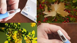 বেশিরভাগ সাপ্লিমেন্টের মতোই বারবারিন ঝুঁকিমুক্ত নয়