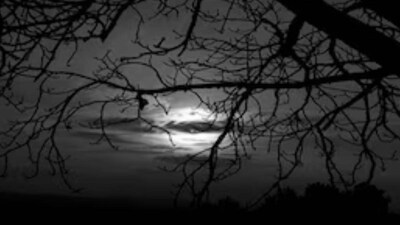 পৌষ মাসের অমাবস্যা তিথির বিশেষ তাৎপর্য রয়েছে, কারণ এটি সূর্য দেবতা এবং পূর্বপুরুষদের উদ্দেশ্যে উৎসর্গ করা হয়। অমাবস্যা তিথি অত্যন্ত গুরুত্বপূর্ণ; এই রাতে কিছু বিশেষ ব্যবস্থা গ্রহণ করা হলে, তার প্রভাব দ্রুত দেখা যায়।