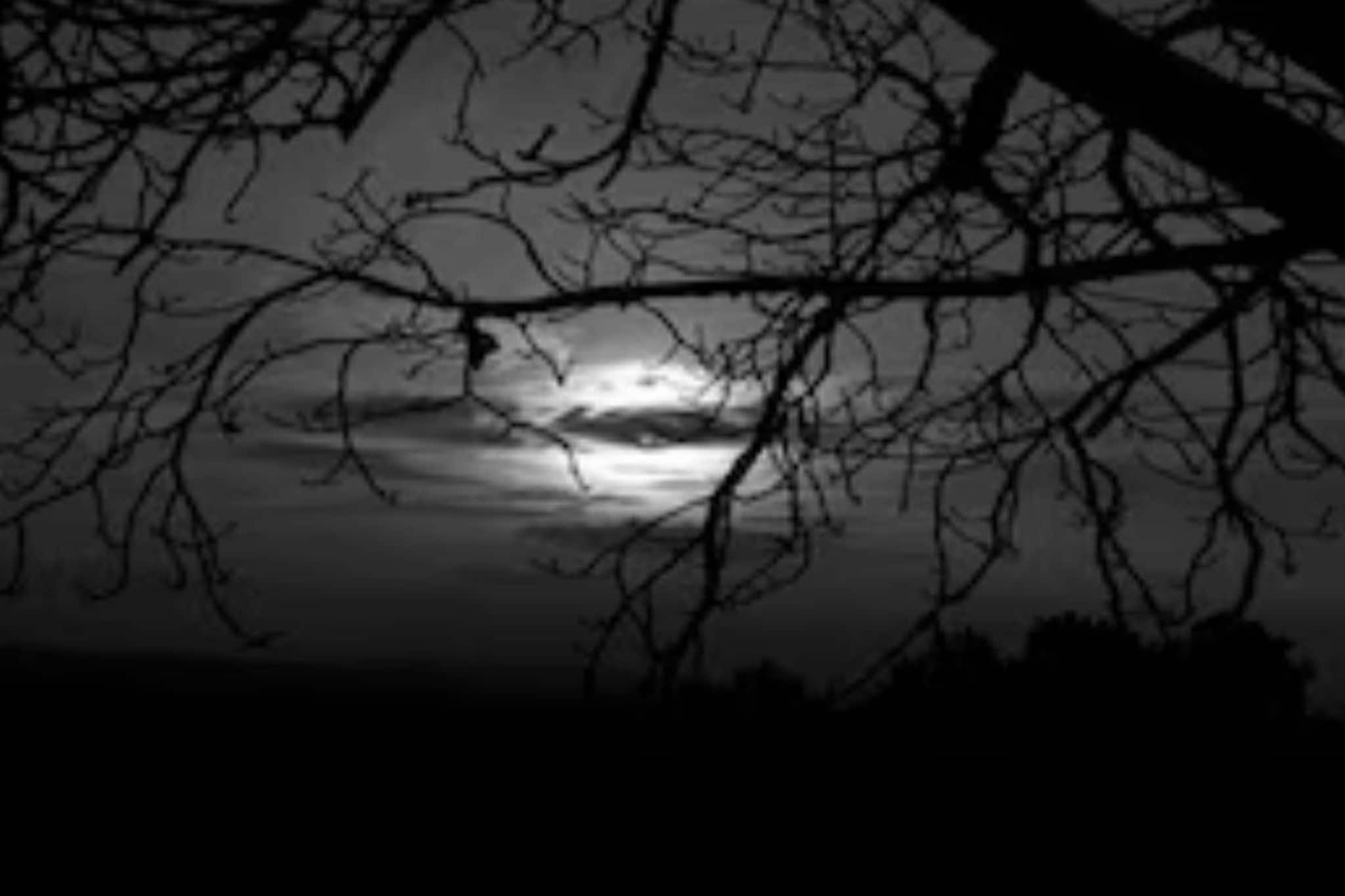 ভয়ানক রাত...! মৌনী অমাবস্যায় ভুলেও দাঁতে কাটবেন না এই ৪ সবজি, জীবনে চরম দুর্ভোগ