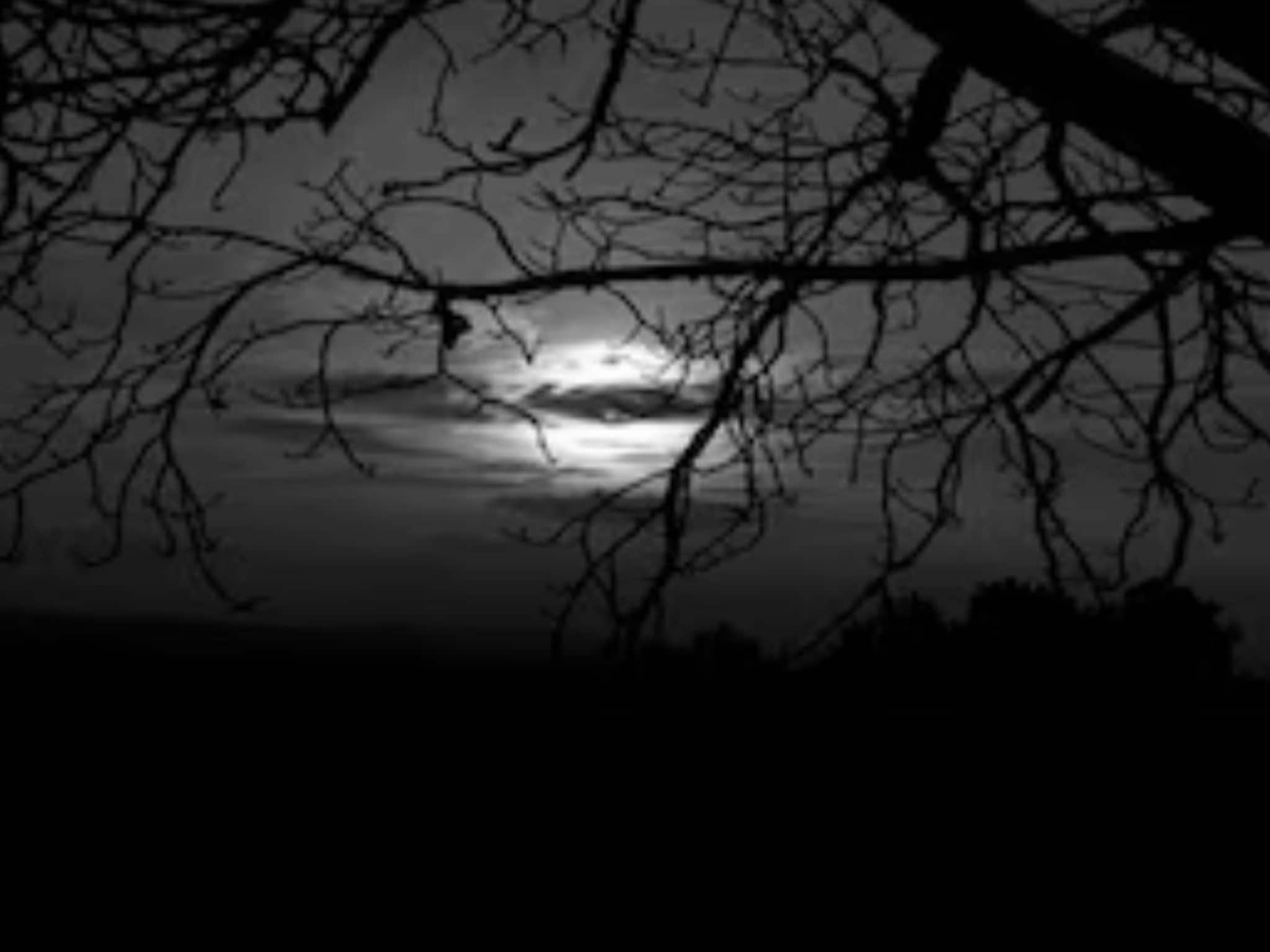 ভয়ানক রাত...! মৌনী অমাবস্যায় ভুলেও দাঁতে কাটবেন না এই ৪ সবজি, জীবনে চরম দুর্ভোগ