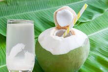 Coconut Water Side Effects: বদহজম, লো ব্লাড প্রেশার-সহ ৬ রোগে শীতে ভুলেও খাবেন না ডাবের জল! ১ চুমুকেই পড়বেন বড় বিপদে!