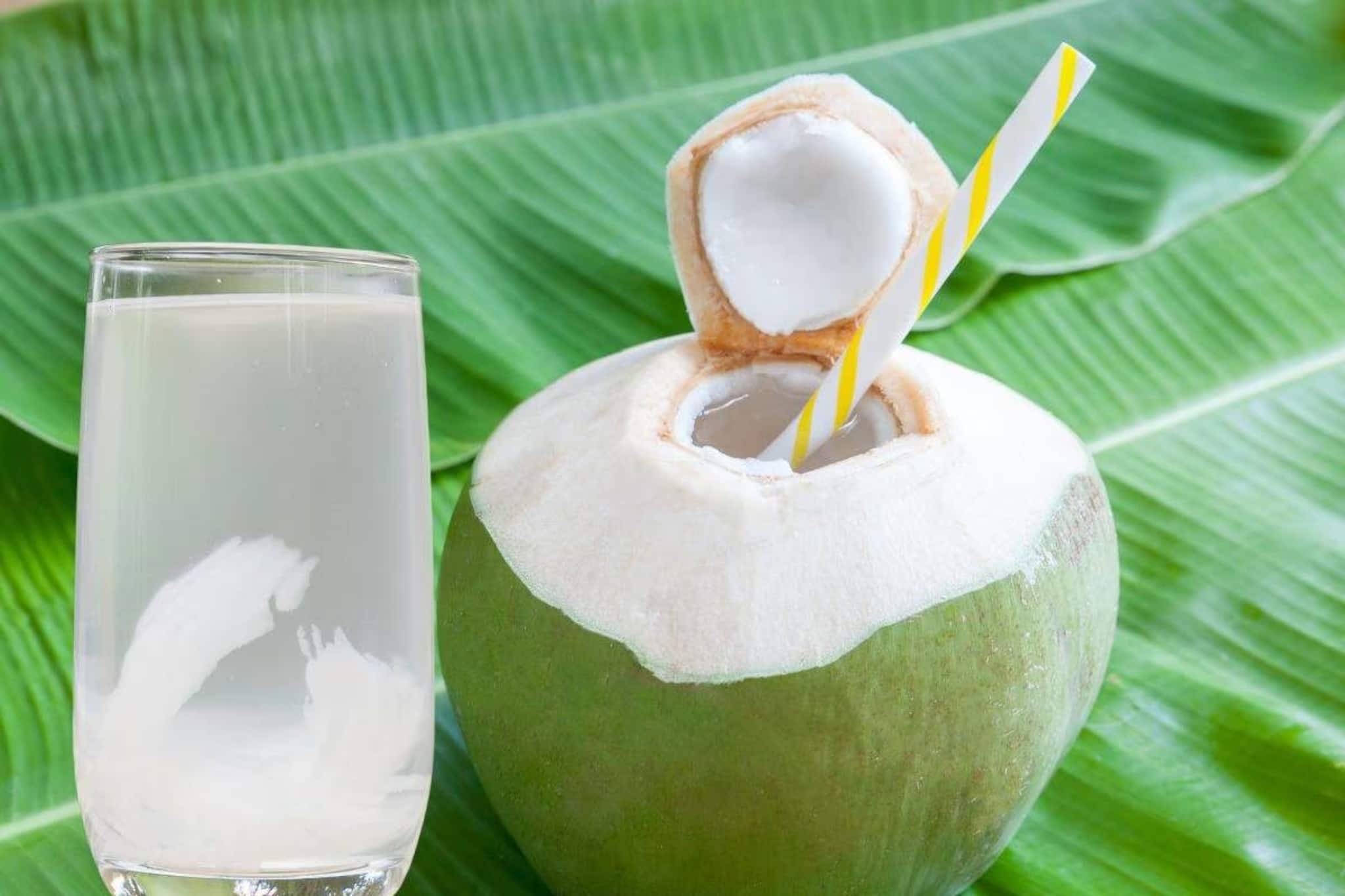 বদহজম, লো ব্লাড প্রেশার-সহ ৬ রোগে শীতে ভুলেও খাবেন না ডাবের জল! ১ চুমুকেই পড়বেন বড় বিপদে বদহজম, লো ব্লাড প্রেশার-সহ ৬ রোগে শীতে ভুলেও খাবেন না ডাবের জল! ১ চুমুকেই পড়বেন বড় বিপদে