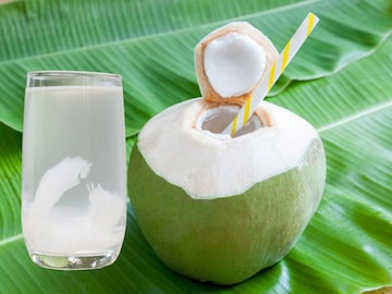 বদহজম, লো ব্লাড প্রেশার-সহ ৬ রোগে শীতে ভুলেও খাবেন না ডাবের জল! ১ চুমুকেই পড়বেন বড় বিপদে বদহজম, লো ব্লাড প্রেশার-সহ ৬ রোগে শীতে ভুলেও খাবেন না ডাবের জল! ১ চুমুকেই পড়বেন বড় বিপদে