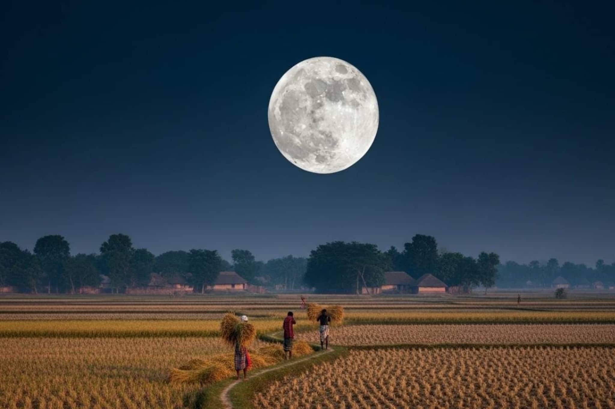 Agrahayana Purnima Unlucky Zodiac Signs 2025: এই সপ্তাহেই আসছে অঘ্রাণ বা মার্গশীর্ষের পূর্ণিমা! জানুন দিনক্ষণ ও সময়! ঘরে বাইরে চরম সমস্যায় পড়তে পারেন কুম্ভ-সহ ৩ রাশি!