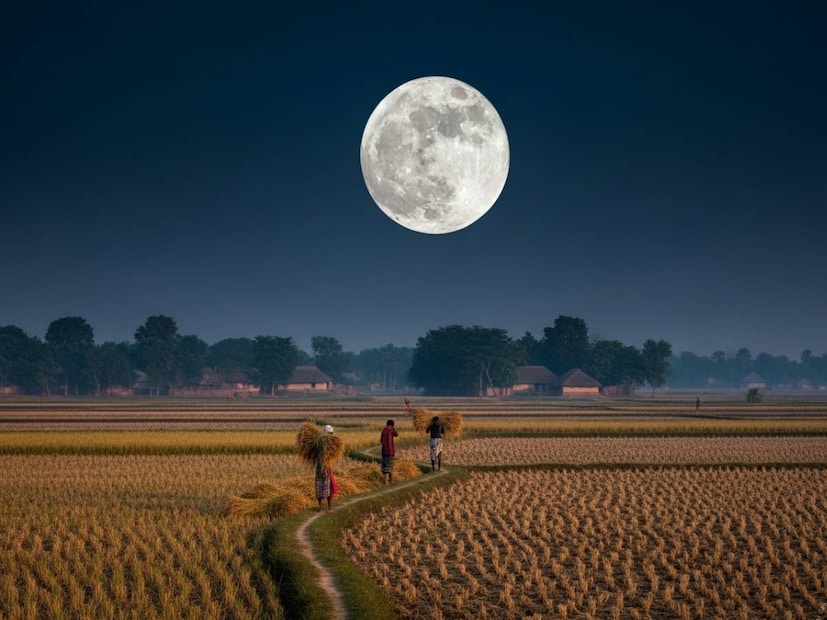 চলছে অগ্রহায়ণ মাস৷ আগামী ৪ ডিসেম্বর, বৃহস্পতিবার পালিত হবে এই মাসের পূর্ণিমা৷ শাস্ত্র মতে এই তিথি অত্যন্ত গুরুত্বপূর্ণ ও পবিত্র৷ জ্যোতিষশাস্ত্র অনুযায়ী রাশিফলের উপর প্রভাব ফেলবে এই তিথি৷ 