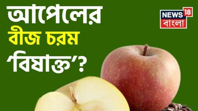 Apple Seeds: Low Cyanide Risk, High Quantity Needed for Poisoning
