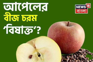 আপেলের বীজ নাকি চরম ‘বিষাক্ত’! পেটে গেলেই কি শরীরে ছড়িয়ে পড়ে বিষ, জানুন বিশেষজ্ঞের মত