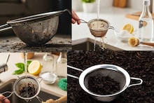 Kitchen Hacks: কয়েক ফোঁটা লেবুর রস, ১ চিমটি বেকিং সোডা...রান্নাঘরের ছাঁকনি রুপোর মতো চকচকে! উধাও তেলকালি-মরচে-নোংরা!