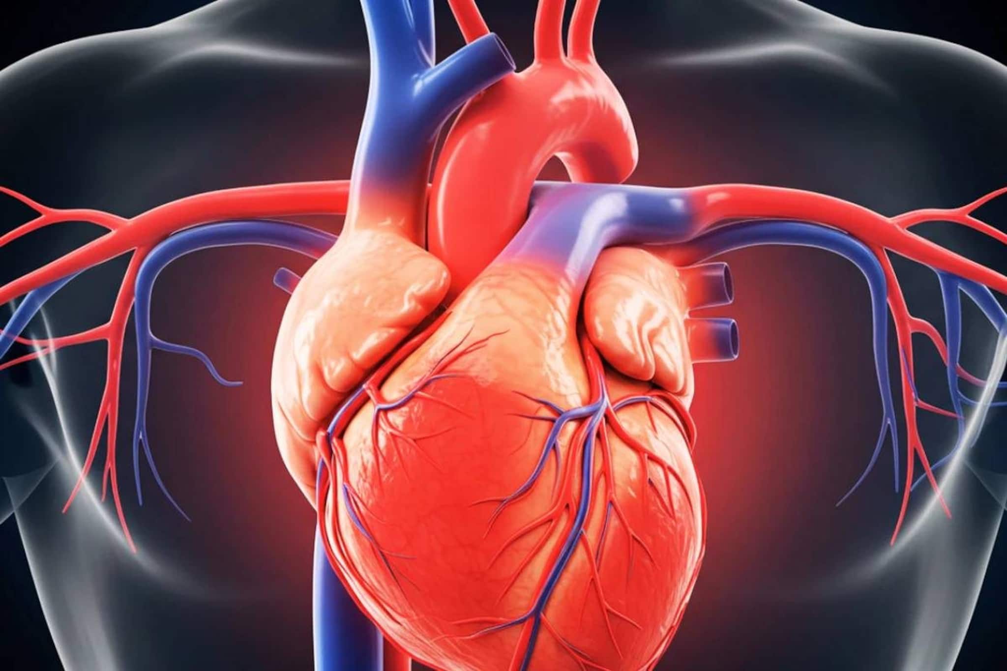 Food to cause Heart Attack: শুধু কোলেস্টেরল নয়! হার্টের বারোটা বাজিয়ে হৃদরোগ ডেকে আনে রোজকার চেনা সাদা খাবার! এখনই বন্ধ করুন খাওয়া!